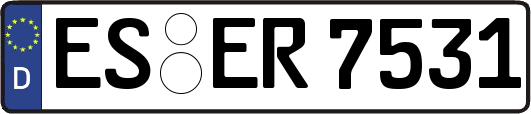 ES-ER7531