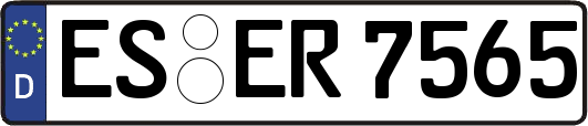 ES-ER7565