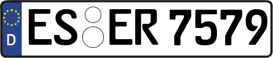 ES-ER7579