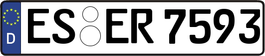 ES-ER7593