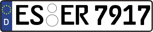 ES-ER7917