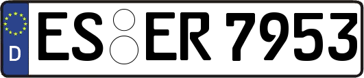 ES-ER7953