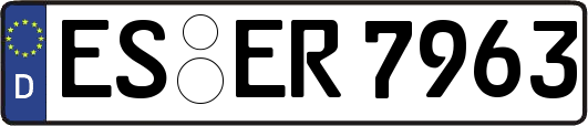 ES-ER7963