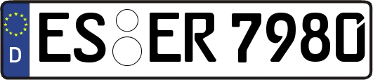 ES-ER7980