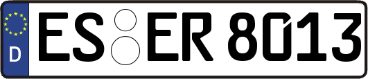 ES-ER8013