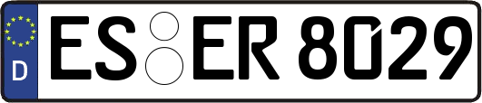 ES-ER8029