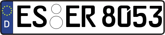 ES-ER8053