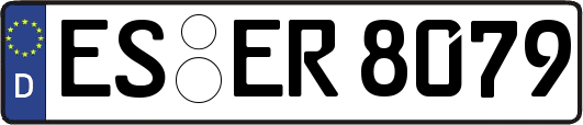 ES-ER8079