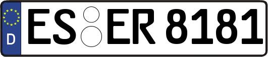 ES-ER8181