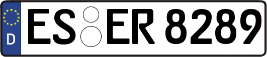 ES-ER8289