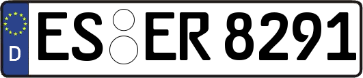 ES-ER8291