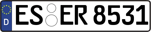 ES-ER8531