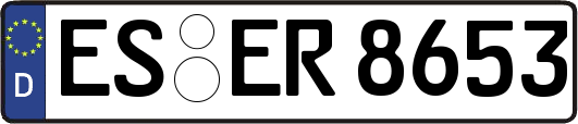 ES-ER8653