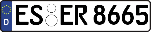 ES-ER8665