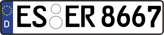 ES-ER8667