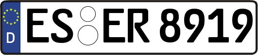 ES-ER8919