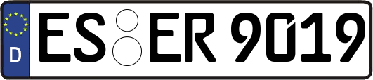 ES-ER9019