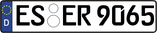 ES-ER9065