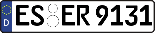 ES-ER9131