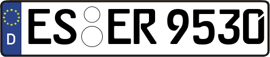 ES-ER9530