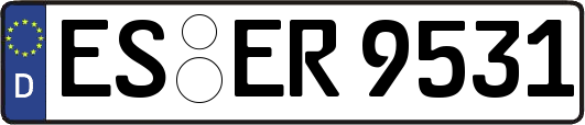 ES-ER9531