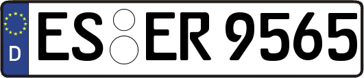 ES-ER9565