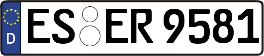 ES-ER9581