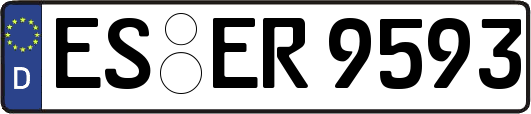 ES-ER9593