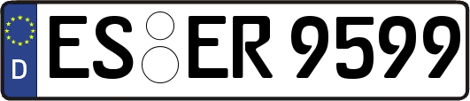 ES-ER9599