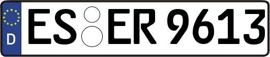 ES-ER9613
