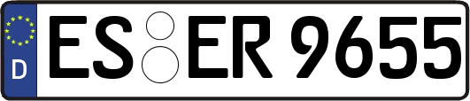 ES-ER9655