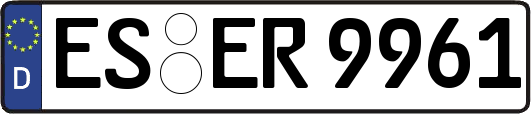 ES-ER9961