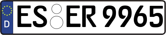 ES-ER9965