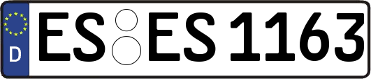 ES-ES1163