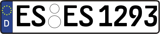 ES-ES1293