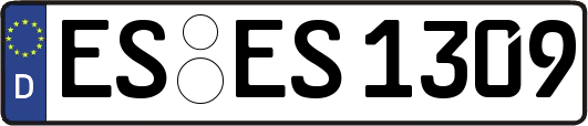 ES-ES1309