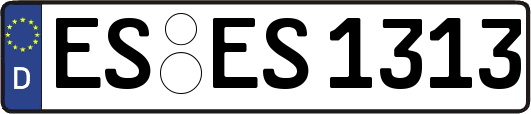 ES-ES1313