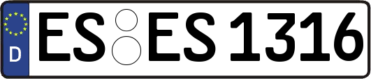 ES-ES1316