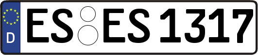 ES-ES1317