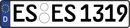 ES-ES1319