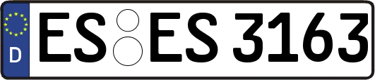 ES-ES3163