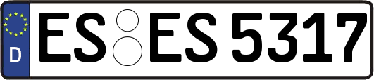 ES-ES5317