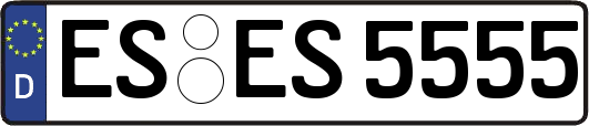 ES-ES5555