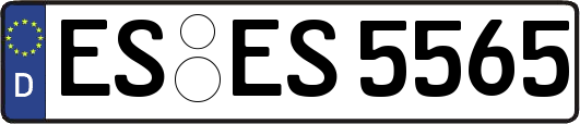 ES-ES5565