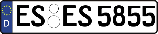 ES-ES5855