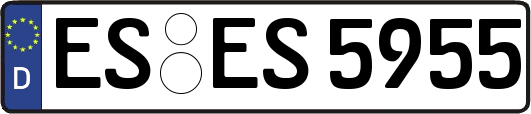 ES-ES5955