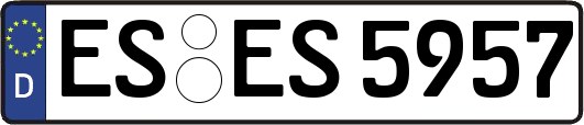 ES-ES5957