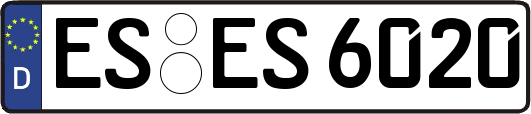 ES-ES6020