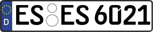 ES-ES6021