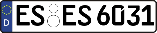 ES-ES6031